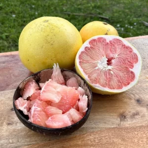 پوملو ۱ عددی