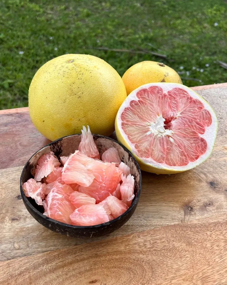 b64c050e9e3442645c097df03dcb39bc پوملو ۱ عددی - تصویر 1